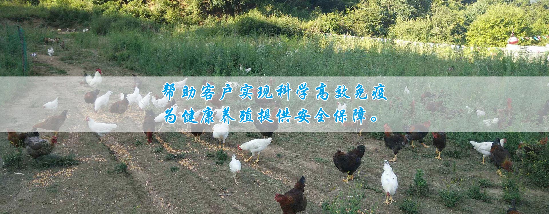 本溪嘉德生物科技有限公司